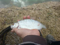 foto/diskuze/z_lovu/2012/th-img47940.jpg