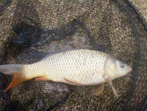 foto/diskuze/z_lovu/2012/th-img47941.jpg