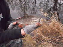 foto/diskuze/z_lovu/2012/th-img47960.jpg