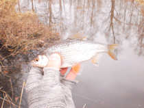 foto/diskuze/z_lovu/2012/th-img47968.jpg
