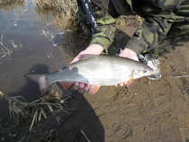 foto/diskuze/z_lovu/2012/th-img48022.jpg