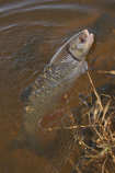 foto/diskuze/z_lovu/2012/th-img48032.jpg