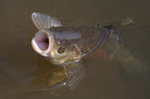 foto/diskuze/z_lovu/2012/th-img48033.jpg