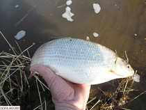 foto/diskuze/z_lovu/2012/th-img48035.jpg