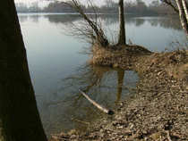 foto/diskuze/z_lovu/2012/th-img48042.jpg
