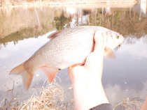 foto/diskuze/z_lovu/2012/th-img48045.jpg