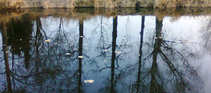 foto/diskuze/z_lovu/2012/th-img48050.jpg