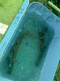 foto/diskuze/z_lovu/2012/th-img48071.jpg