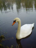 foto/diskuze/z_lovu/2012/th-img48079.jpg