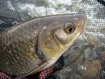foto/diskuze/z_lovu/2012/th-img48081.jpg