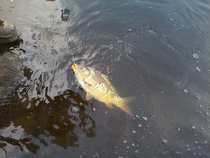 foto/diskuze/z_lovu/2012/th-img48101.jpg