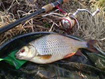 foto/diskuze/z_lovu/2012/th-img48103.jpg