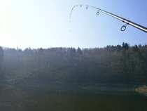 foto/diskuze/z_lovu/2012/th-img48120.jpg