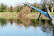 foto/diskuze/z_lovu/2012/th-img48123.jpg