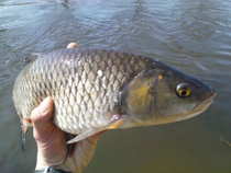 foto/diskuze/z_lovu/2012/th-img48126.jpg