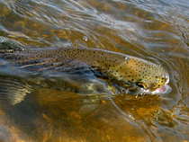 foto/diskuze/z_lovu/2012/th-img48128.jpg