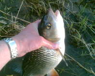 foto/diskuze/z_lovu/2012/th-img48135.jpg