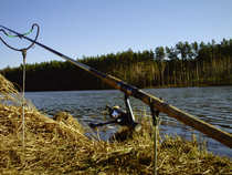 foto/diskuze/z_lovu/2012/th-img48144.jpg