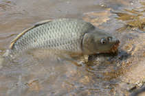 foto/diskuze/z_lovu/2012/th-img48156.jpg