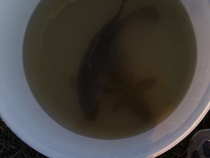 foto/diskuze/z_lovu/2012/th-img48187.jpg
