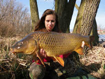 foto/diskuze/z_lovu/2012/th-img48189.jpg
