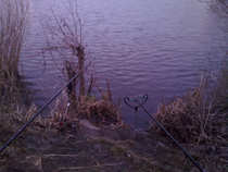 foto/diskuze/z_lovu/2012/th-img48221.jpg