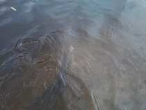 foto/diskuze/z_lovu/2012/th-img48266.jpg