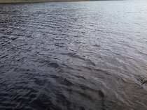 foto/diskuze/z_lovu/2012/th-img48267.jpg