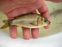 foto/diskuze/z_lovu/2012/th-img48269.jpg