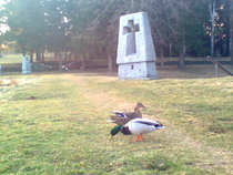 foto/diskuze/z_lovu/2012/th-img48274.jpg