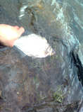 foto/diskuze/z_lovu/2012/th-img48275.jpg