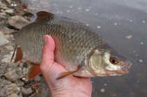 foto/diskuze/z_lovu/2012/th-img48279.jpg
