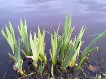 foto/diskuze/z_lovu/2012/th-img48283.jpg