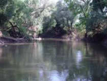 foto/diskuze/z_lovu/2012/th-img48285.jpg