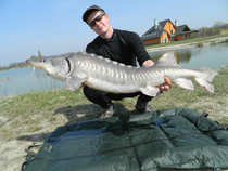 foto/diskuze/z_lovu/2012/th-img48350.jpg