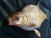 foto/diskuze/z_lovu/2012/th-img48381.jpg