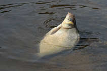 foto/diskuze/z_lovu/2012/th-img48404.jpg