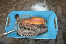 foto/diskuze/z_lovu/2012/th-img48405.jpg
