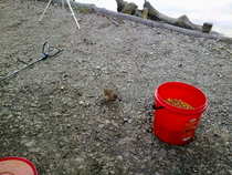foto/diskuze/z_lovu/2012/th-img48410.jpg