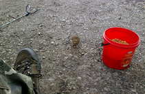 foto/diskuze/z_lovu/2012/th-img48411.jpg