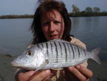 foto/diskuze/z_lovu/2012/th-img48430.jpg