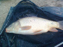 foto/diskuze/z_lovu/2012/th-img48434.jpg