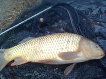 foto/diskuze/z_lovu/2012/th-img48455.jpg