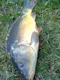 foto/diskuze/z_lovu/2012/th-img48496.jpg