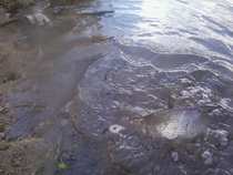 foto/diskuze/z_lovu/2012/th-img48504.jpg