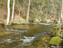 foto/diskuze/z_lovu/2012/th-img48526.jpg