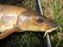 foto/diskuze/z_lovu/2012/th-img48532.jpg