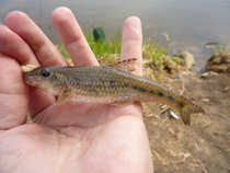 foto/diskuze/z_lovu/2012/th-img48534.jpg