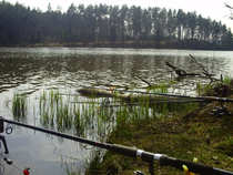 foto/diskuze/z_lovu/2012/th-img48544.jpg