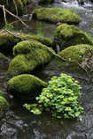 foto/diskuze/z_lovu/2012/th-img48558.jpg